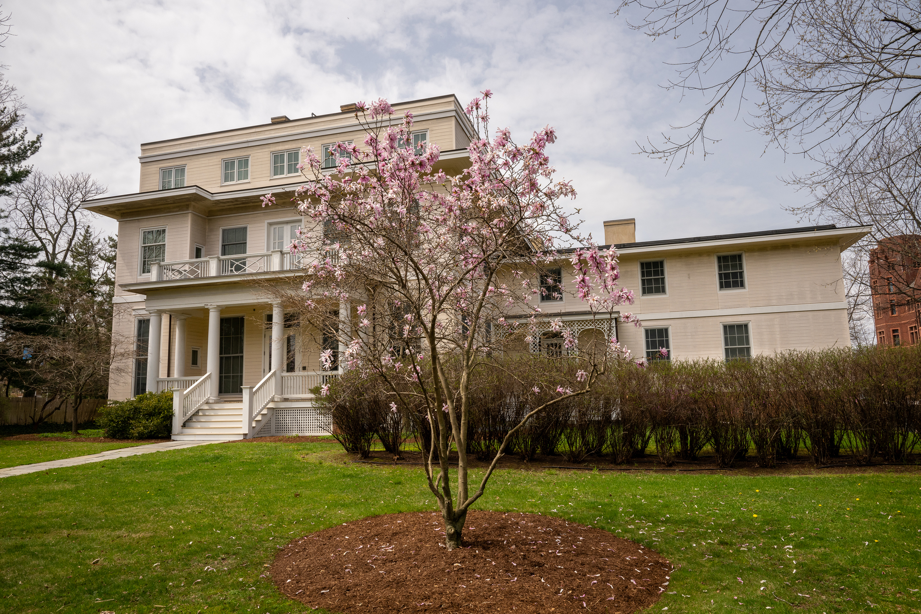 10 Sachem in spring