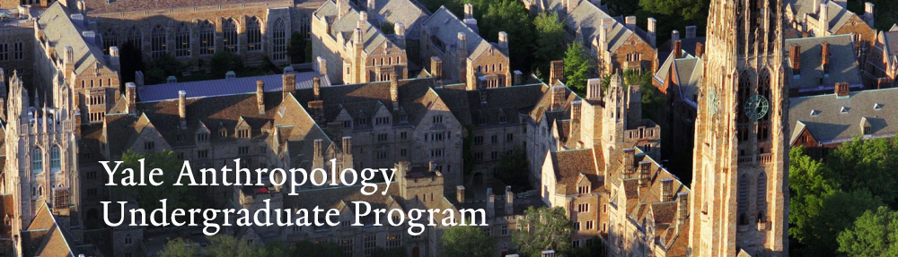yale anthropology phd application