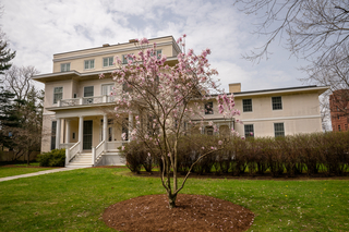 10 Sachem in spring