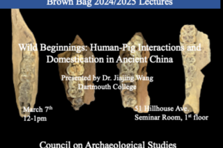 Brown bag poster
