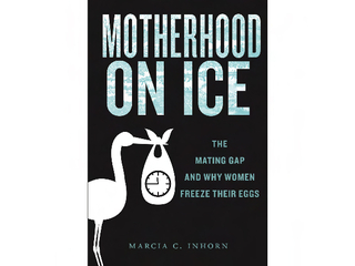 "Motherhood on Ice" book cover featuring stork carrying a clock