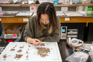 Yale student separates bone fragments