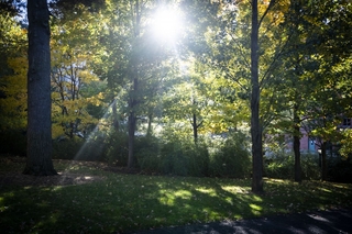 Yale grounds